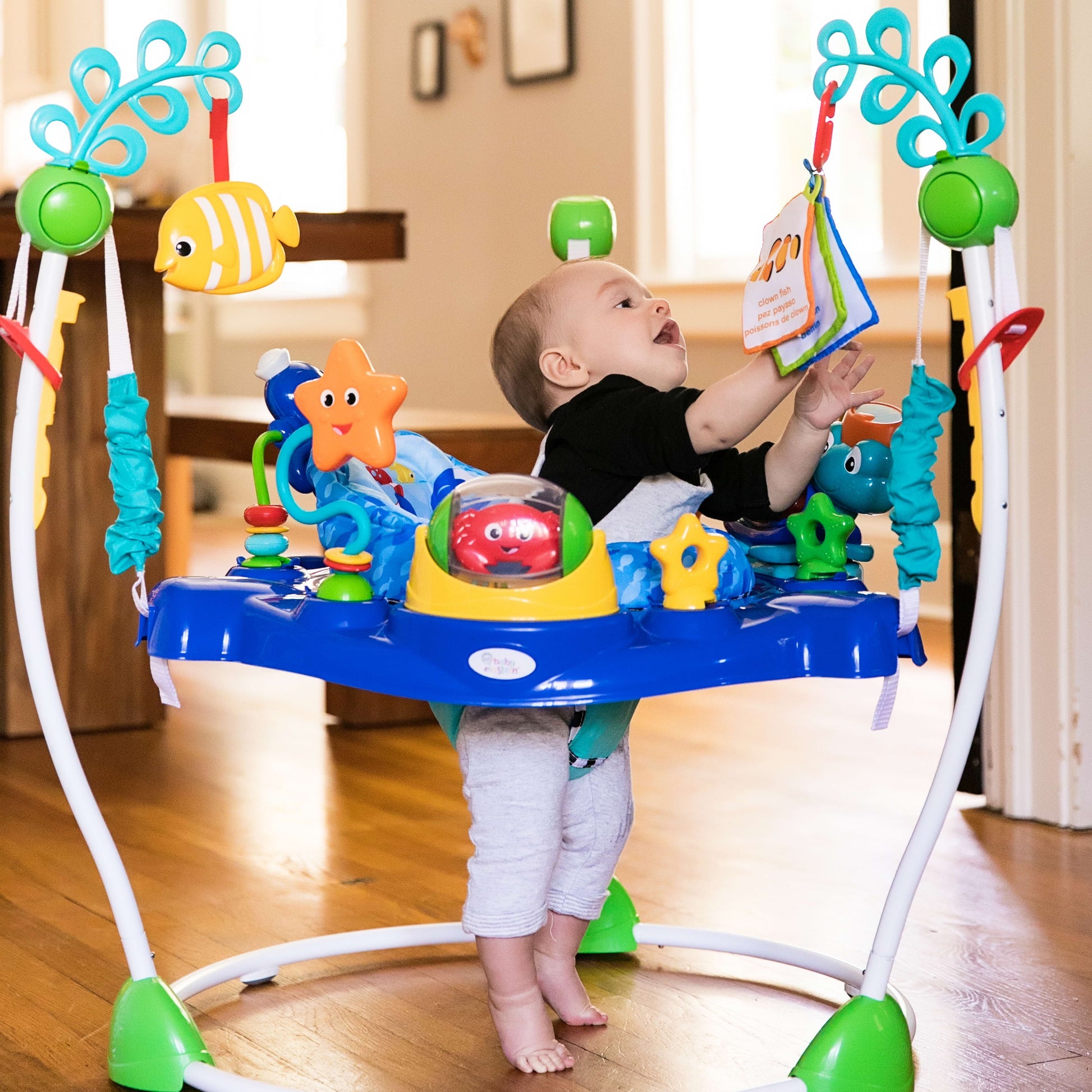 Neptune'S Ocean Discovery Activity Center Jumper, jumparoo