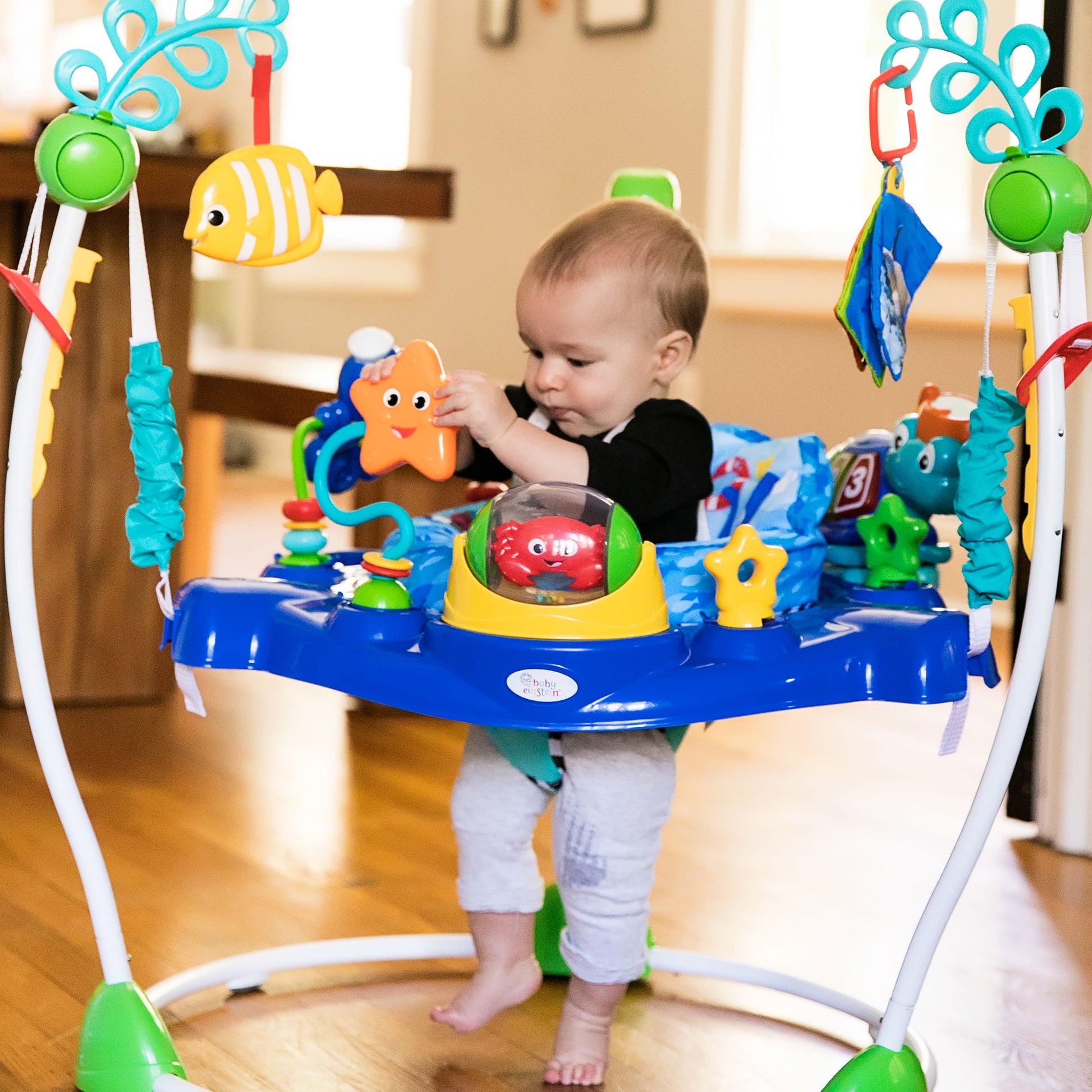 Neptune'S Ocean Discovery Activity Center Jumper, jumparoo